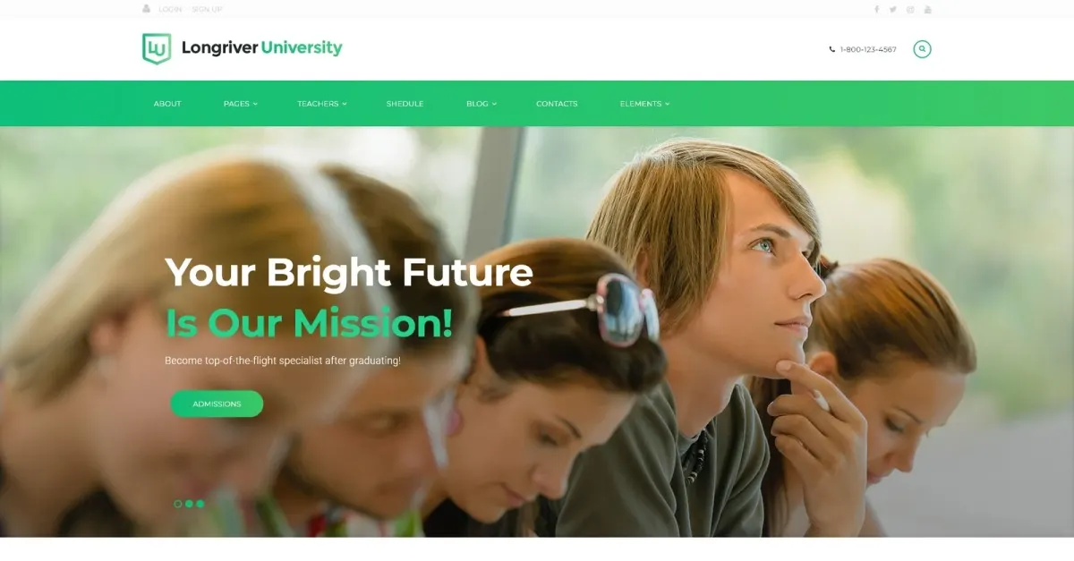 Longriver University Responsive WordPress Theme screenshot