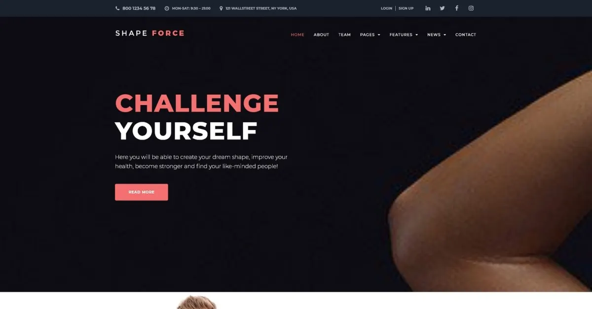 ShapeForce screenshot