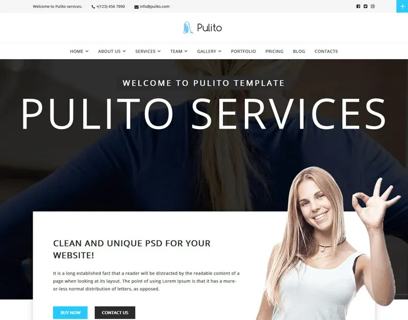 Pulito screenshot