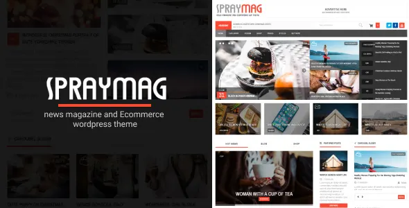 Spraymag screenshot