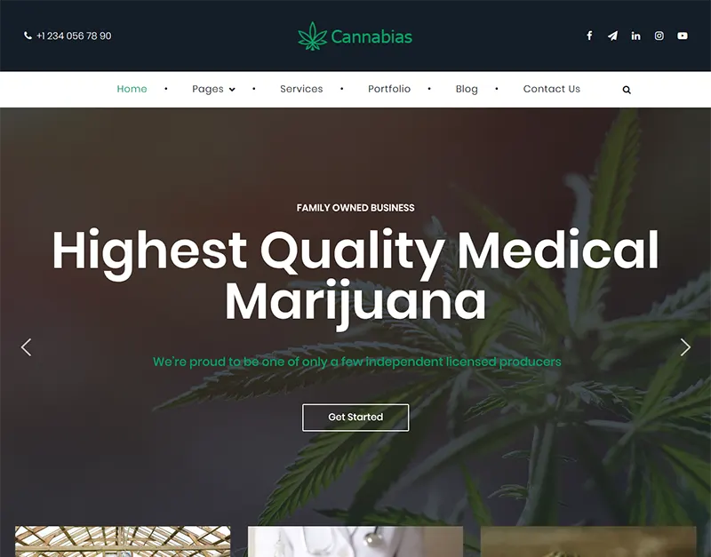 Cannabias medical marijuana business WordPress Theme screenshot