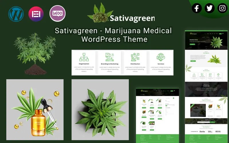 Professional And Dynamic Medical Marijuana WordPress Themes For Cannabis Companies