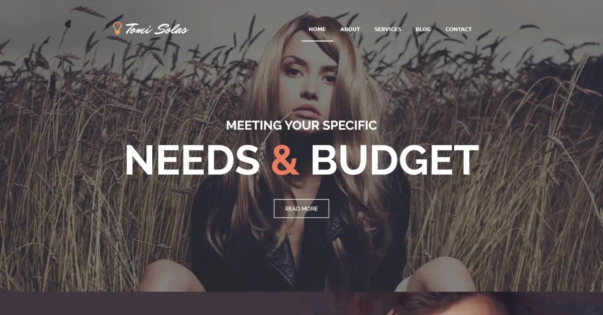 Tomi Solas WordPress Theme screenshot