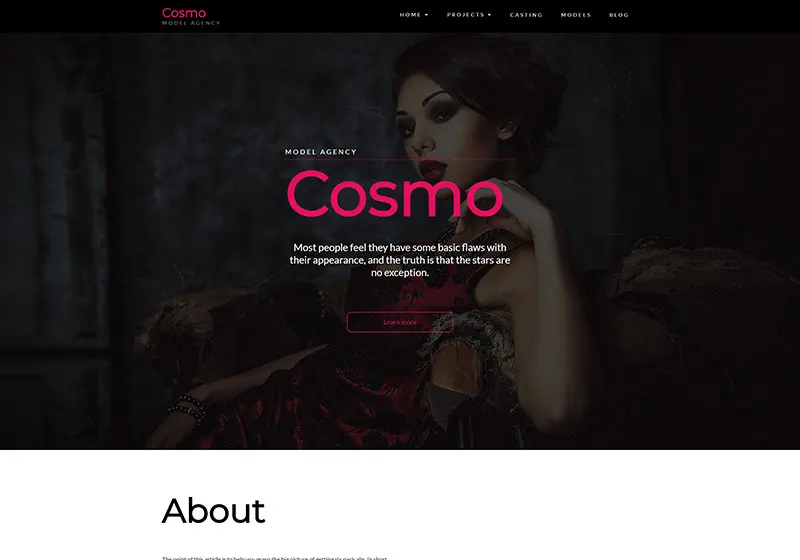8 of the Best WordPress Themes for Models & Modeling Agencies