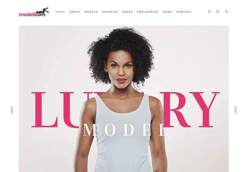 Sleek And Stylish WordPress Themes For Models And Modeling Agencies
